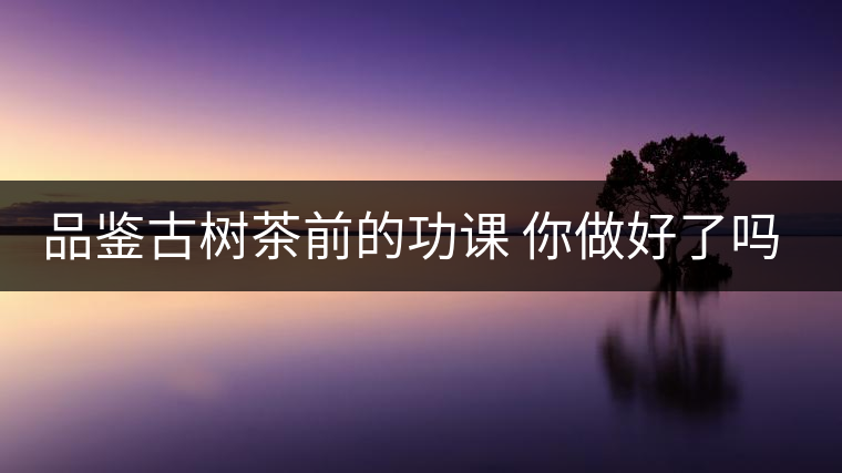 品鑒古樹(shù)茶前的功課 你做好了嗎？