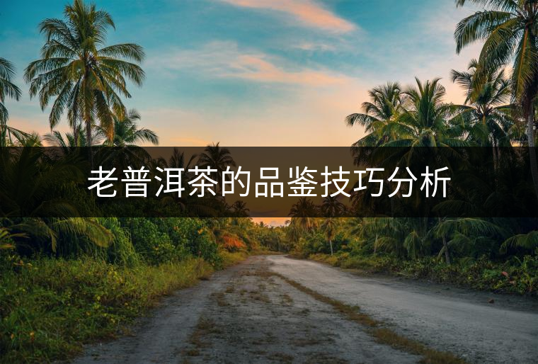 老普洱茶的品鑒技巧分析