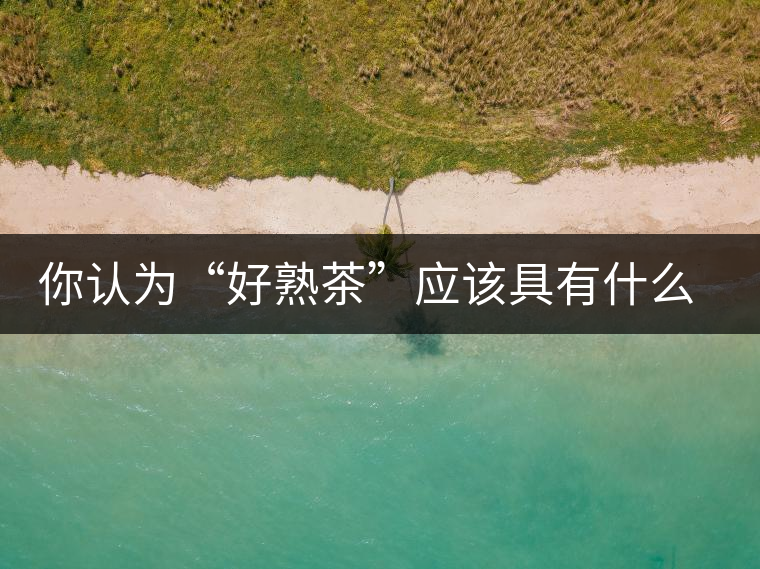 你認為“好熟茶”應該具有什么樣的標準？