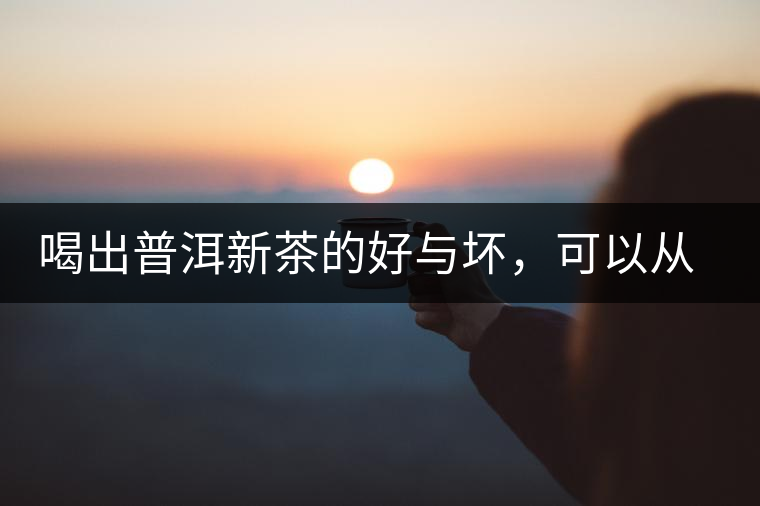 喝出普洱新茶的好與壞，可以從這五點(diǎn)出發(fā)