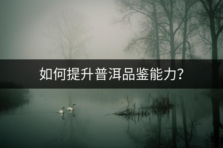 如何提升普洱品鑒能力？