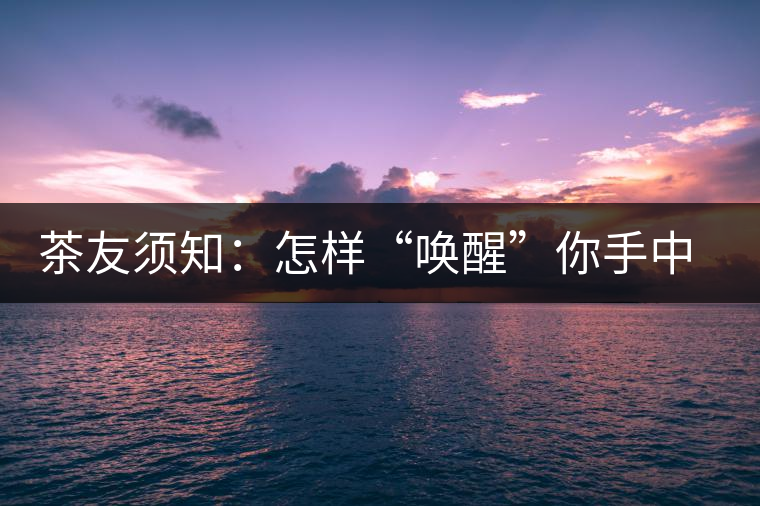 茶友須知：怎樣“喚醒”你手中的那一餅普洱茶？