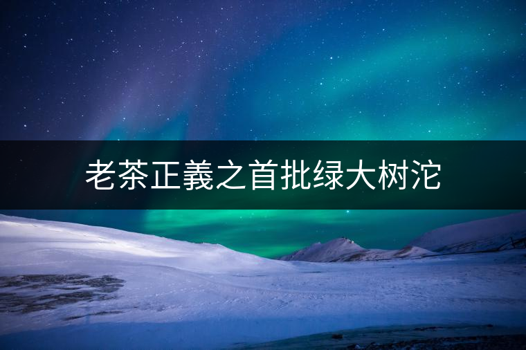 老茶正義之首批綠大樹沱 老茶正義之首批綠大樹沱