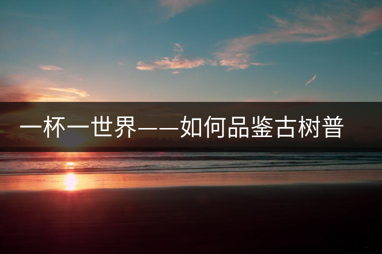 一杯一世界——如何品鑒古樹普洱