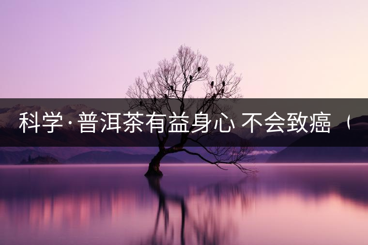 科學(xué)·普洱茶有益身心 不會致癌(2) 科學(xué)·普洱茶有益身心 不會致癌(2)