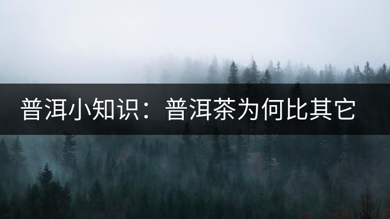 普洱小知識(shí)：普洱茶為何比其它茶葉耐泡？