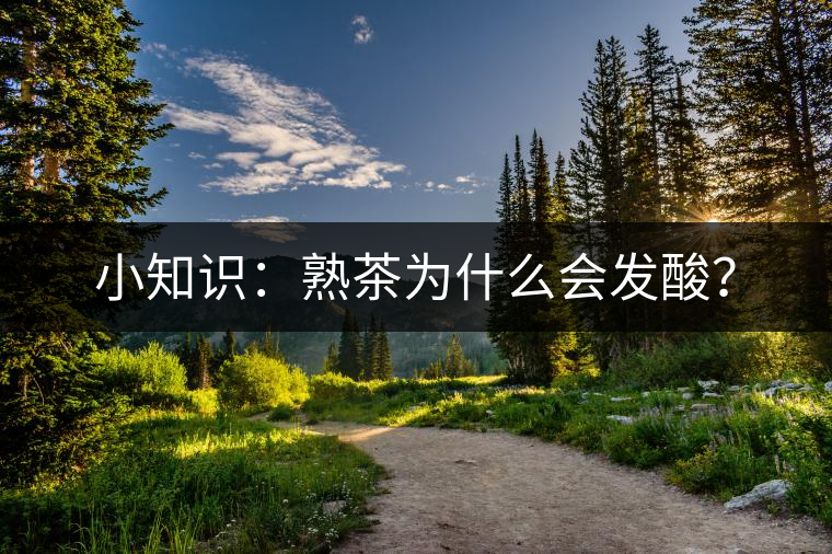 小知識：熟茶為什么會發(fā)酸？