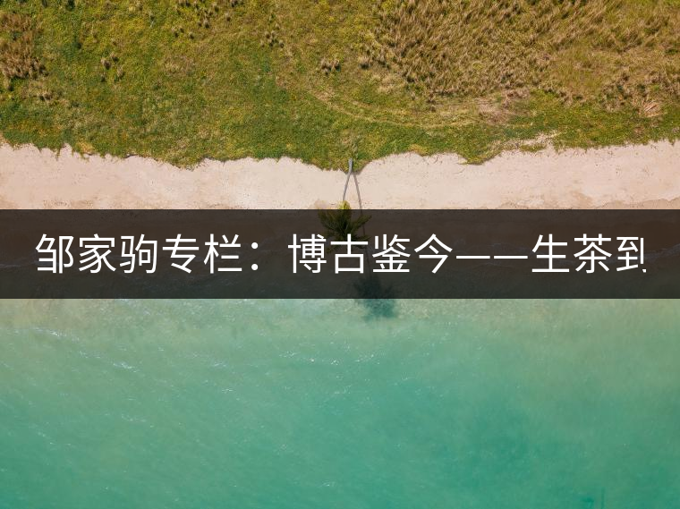 鄒家駒專欄：博古鑒今——生茶到底是不是普洱茶？