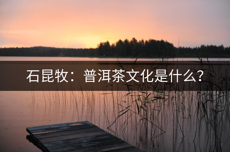 石昆牧：普洱茶文化是什么？