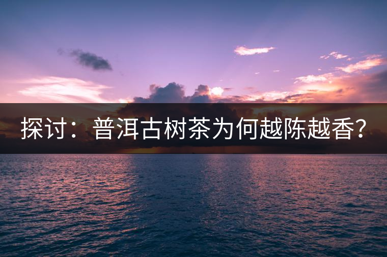 探討：普洱古樹茶為何越陳越香？