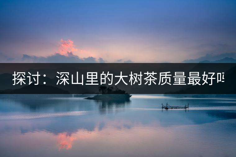 探討：深山里的大樹茶質(zhì)量最好嗎？