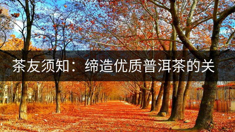 茶友須知:締造優(yōu)質(zhì)普洱茶的關鍵 茶友須知:締造優(yōu)質(zhì)普洱茶的關鍵