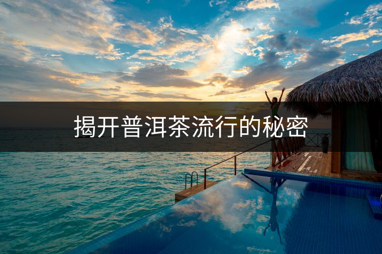 揭開普洱茶流行的秘密 揭開普洱茶流行的秘密