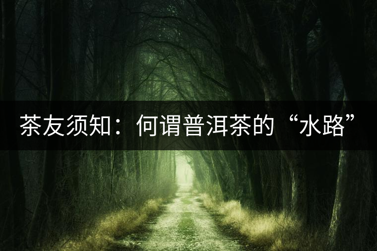 茶友須知：何謂普洱茶的“水路”？