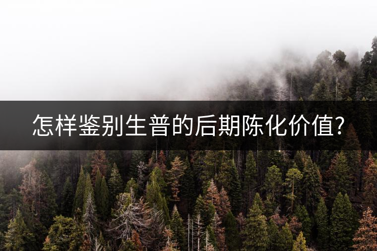 怎樣鑒別生普的后期陳化價值? 怎樣鑒別生普的后期陳化價值?