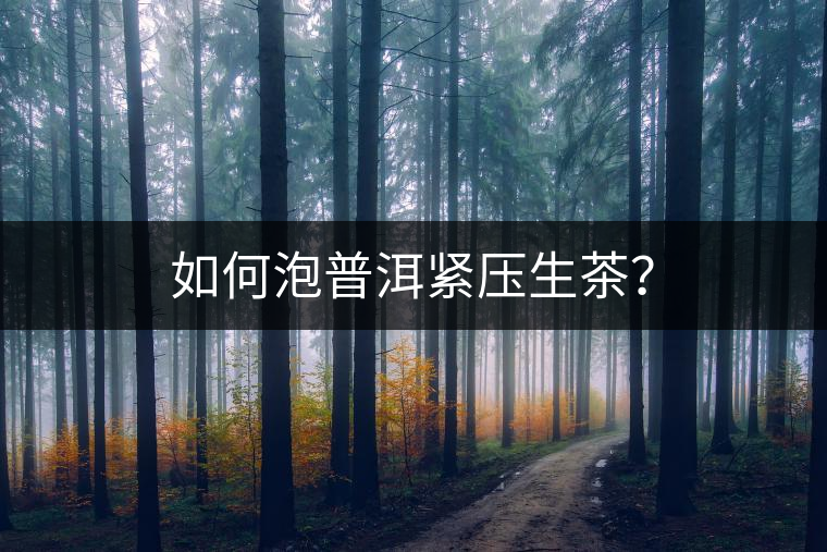 如何泡普洱緊壓生茶？