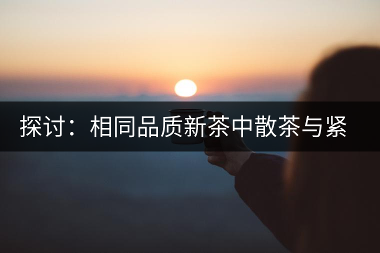 探討：相同品質(zhì)新茶中散茶與緊壓茶哪個(gè)好？