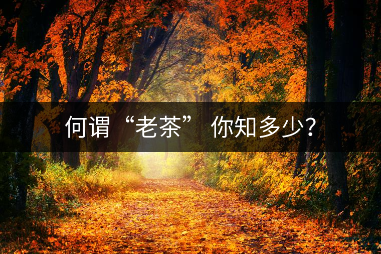 何謂“老茶” 你知多少？