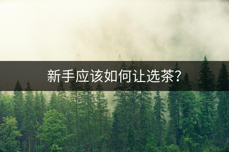 新手應該如何讓選茶？