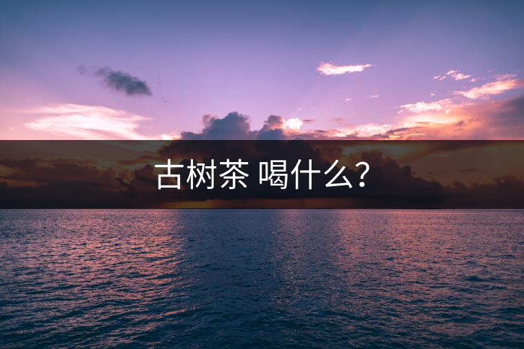 古樹茶 喝什么？