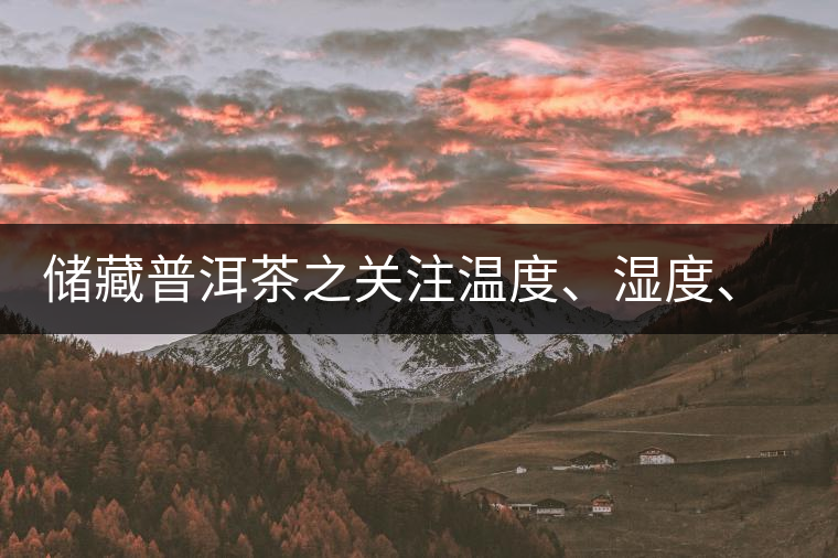 儲藏普洱茶之關注溫度、濕度、異味因素影響
