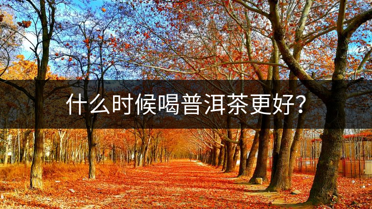 什么時(shí)候喝普洱茶更好？