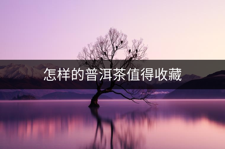 怎樣的普洱茶值得收藏