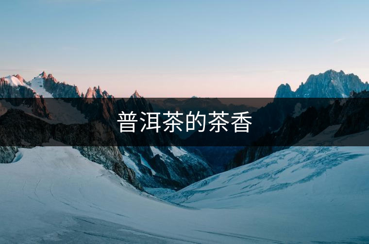 普洱茶的茶香 普洱茶的茶香