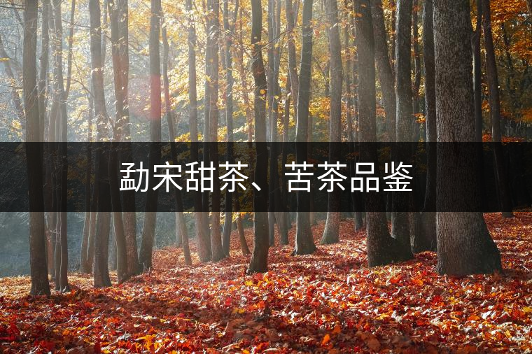 勐宋甜茶、苦茶品鑒