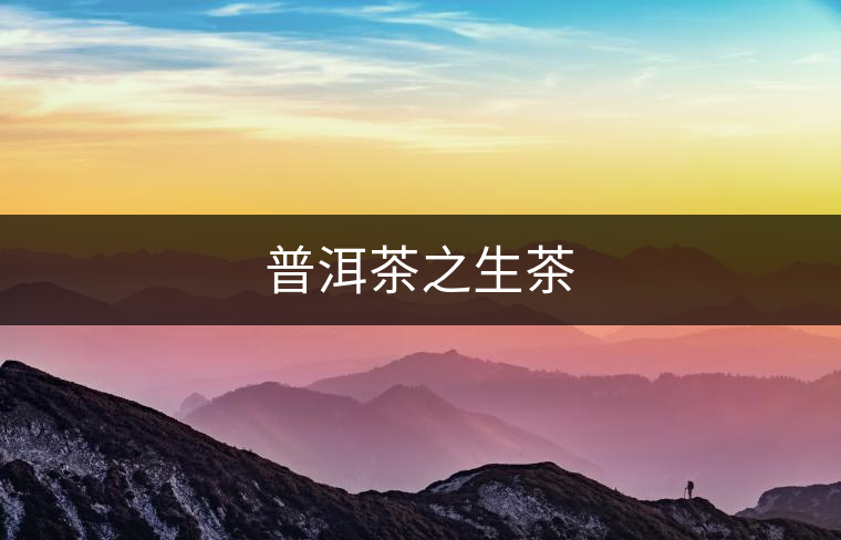 普洱茶之生茶 普洱茶之生茶