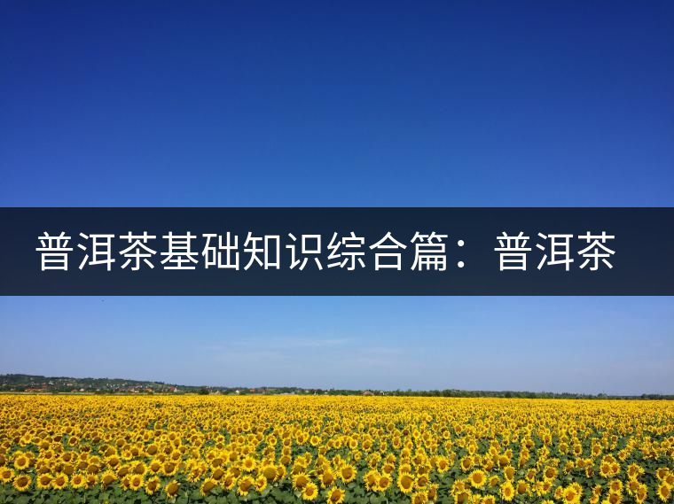 普洱茶基礎(chǔ)知識(shí)綜合篇：普洱茶與健康