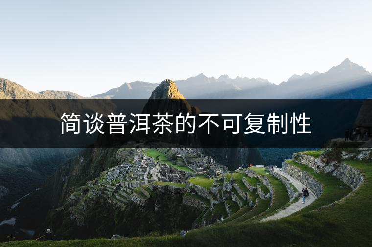 簡談普洱茶的不可復(fù)制性 簡談普洱茶的不可復(fù)制性