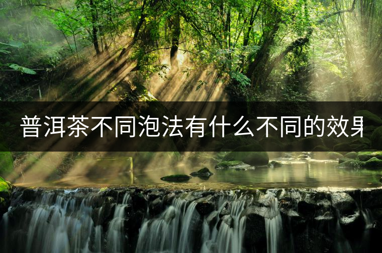 普洱茶不同泡法有什么不同的效果？