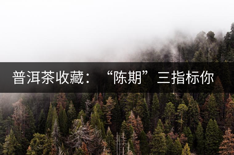 普洱茶收藏：“陳期”三指標(biāo)你知道嗎？