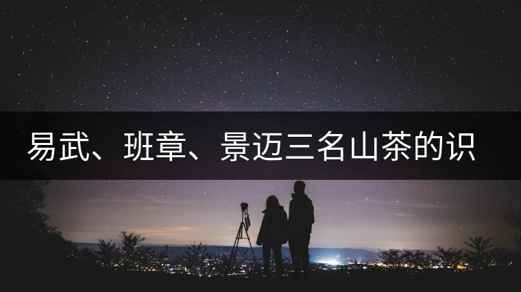 易武、班章、景邁三名山茶的識別