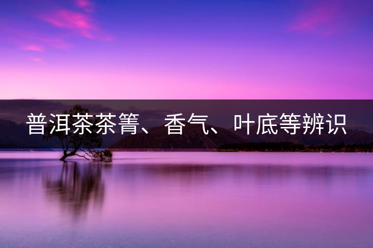 普洱茶茶箐、香氣、葉底等辨識