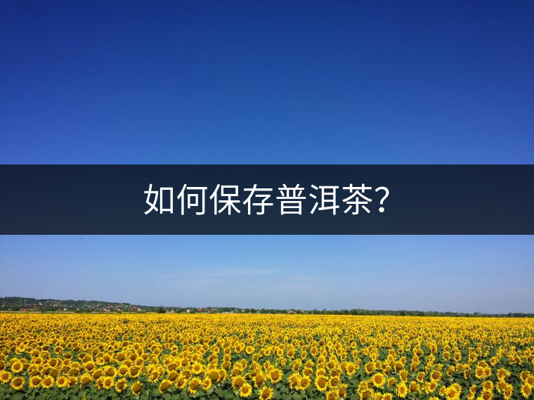 如何保存普洱茶？