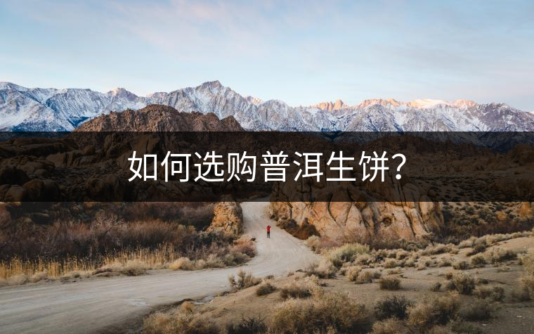 如何選購(gòu)普洱生餅？