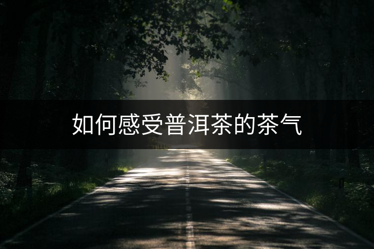 如何感受普洱茶的茶氣 如何感受普洱茶的茶氣