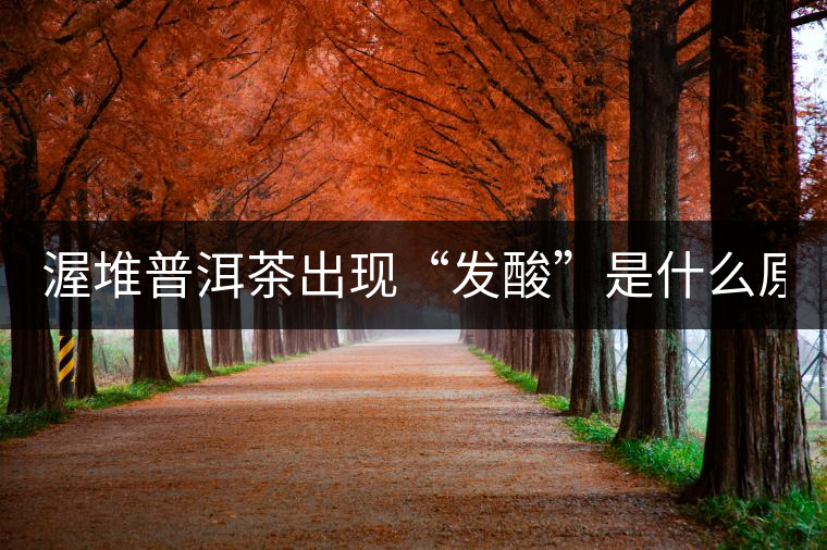 渥堆普洱茶出現(xiàn)“發(fā)酸”是什么原因？