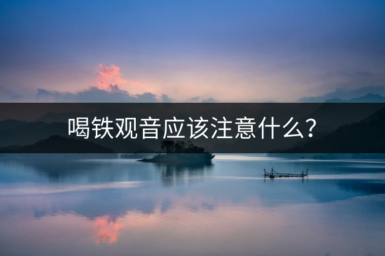 喝鐵觀音應該注意什么？