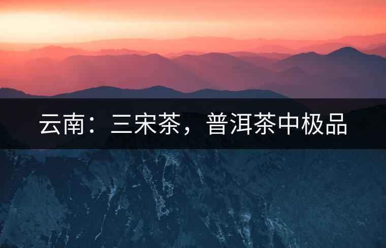 云南：三宋茶，普洱茶中極品