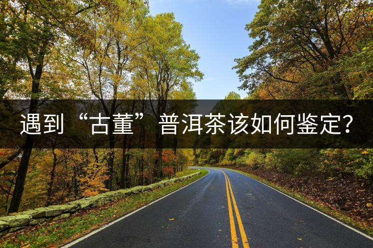 遇到“古董”普洱茶該如何鑒定？