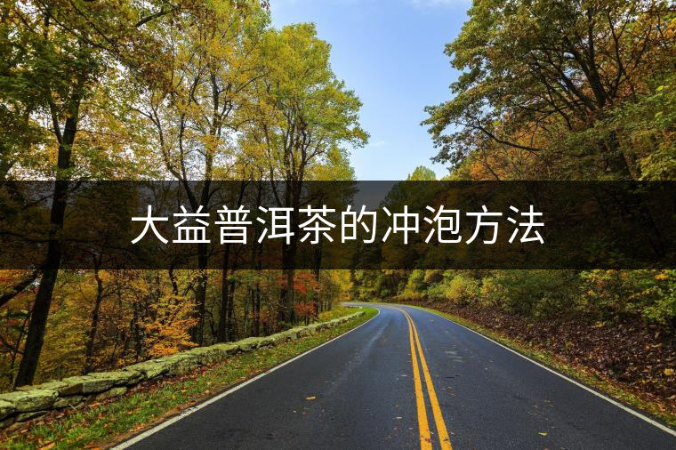 大益普洱茶的沖泡方法