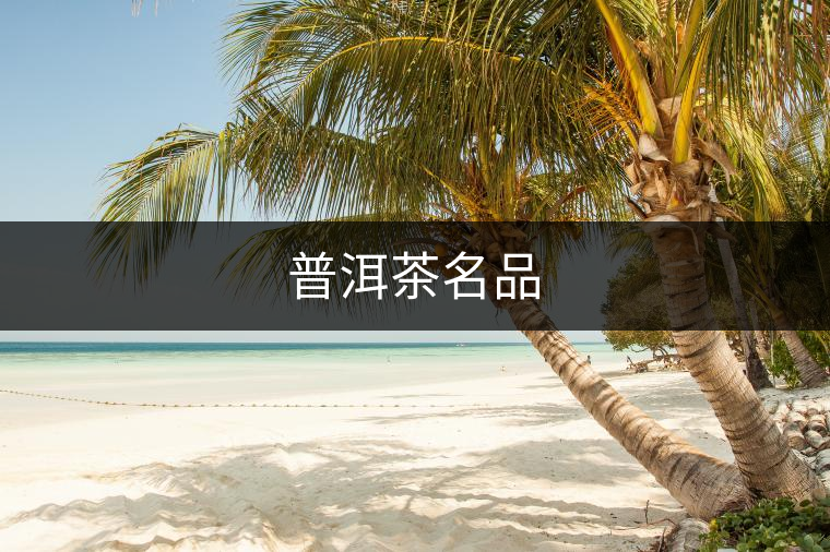 普洱茶名品 普洱茶名品