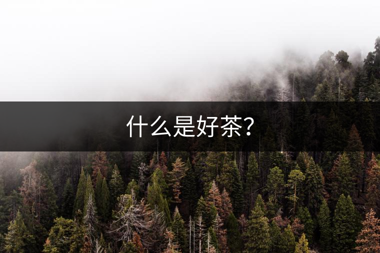 什么是好茶？