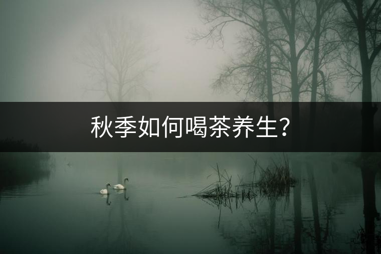 秋季如何喝茶養(yǎng)生？