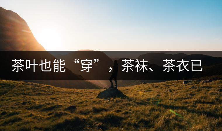 茶葉也能“穿”，茶襪、茶衣已進(jìn)入研發(fā)階段