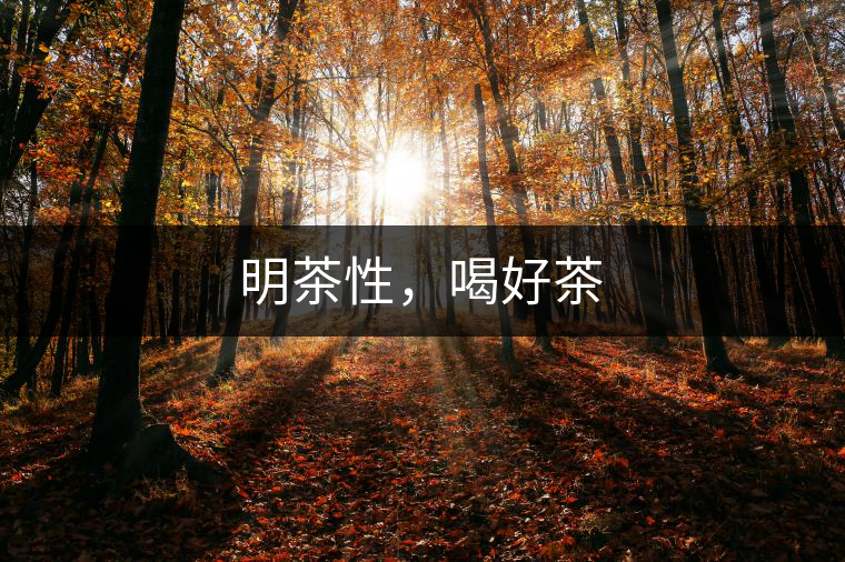 明茶性，喝好茶