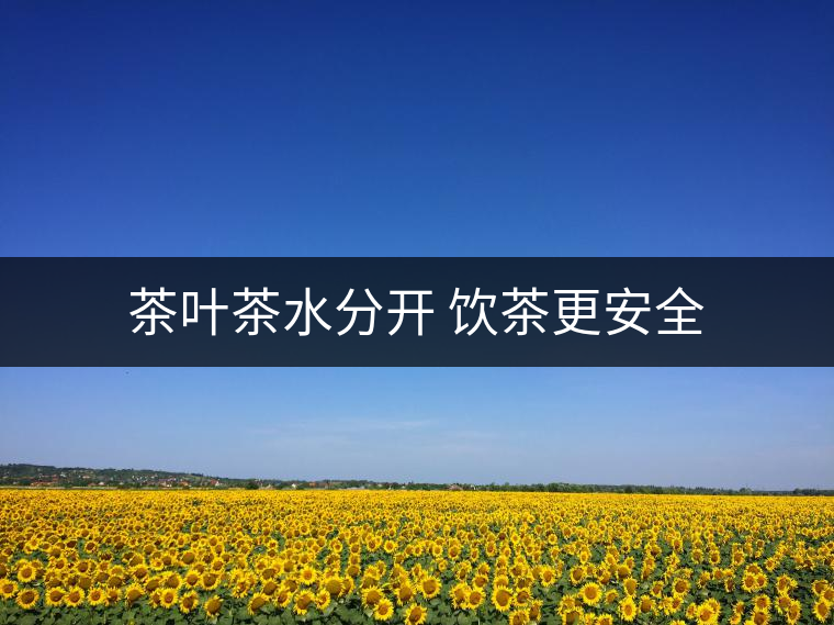茶葉茶水分開 飲茶更安全 茶葉茶水分開 飲茶更安全